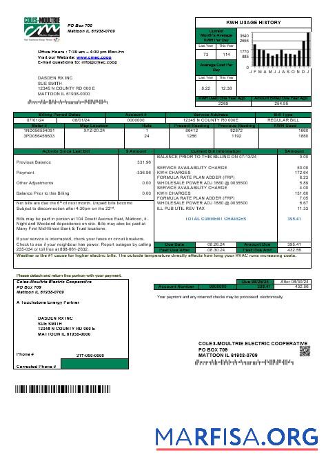 Printable USA Coles – Moultrie business utility bill template in Word and PDF formats
